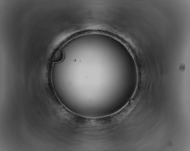 X0000101471311200807141341