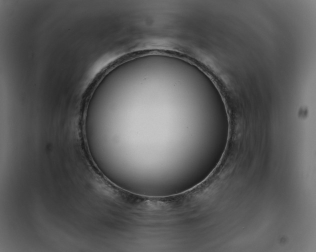 X0000101471312200807141341