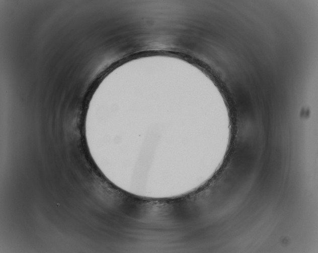 X0000101471314200807141341