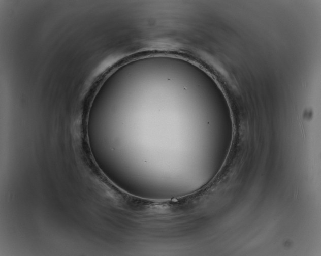 X0000101471315200807141341