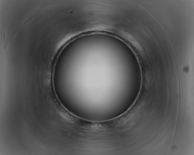 X0000101471316200807141341