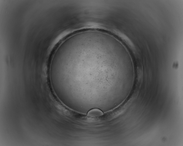 X0000101471318200807141342