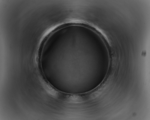 X0000101471319200807141342
