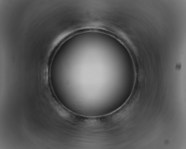 X0000101471320200807141342