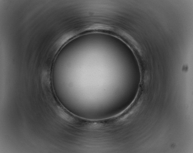 X0000101471321200807141342