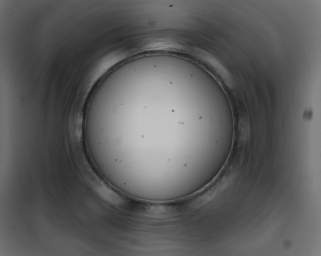 X0000101471322200807141342