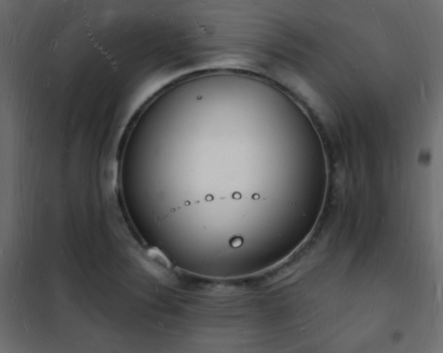 X0000101471324200807141342
