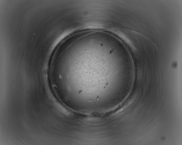 X0000101471325200807141342