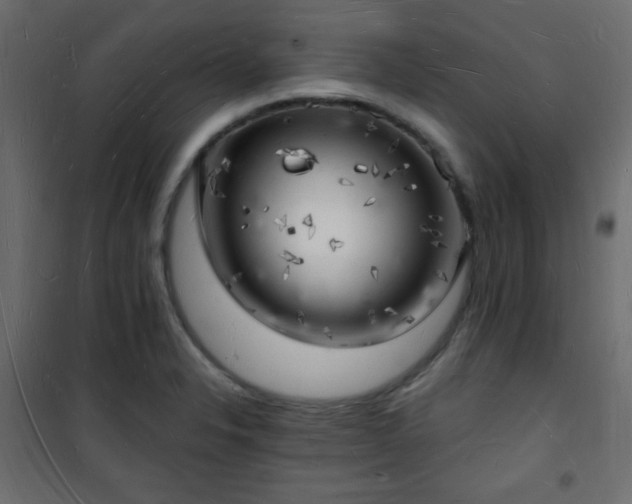 X0000101471326200807141342