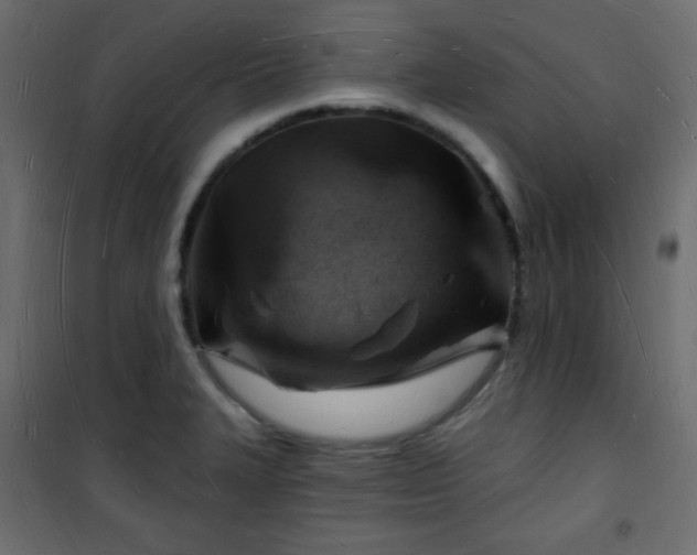 X0000101471327200807141342