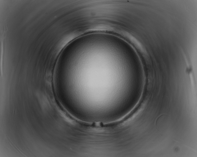 X0000101471329200807141342