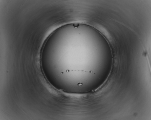 X0000101471332200807141342