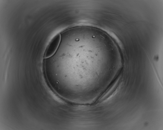 X0000101471333200807141342