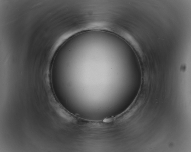 X0000101471336200807141342