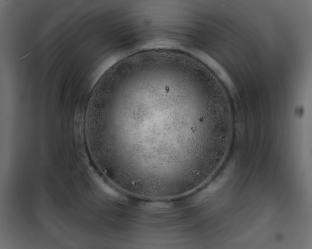 X0000101471337200807141342