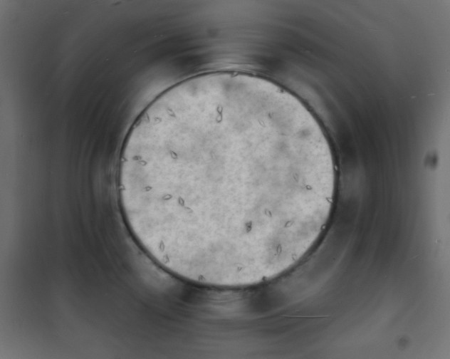 X0000101471338200807141342