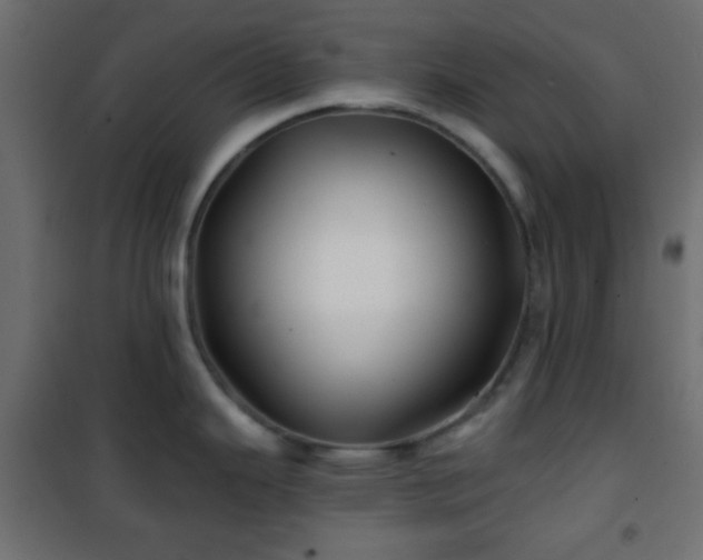 X0000101471343200807141342