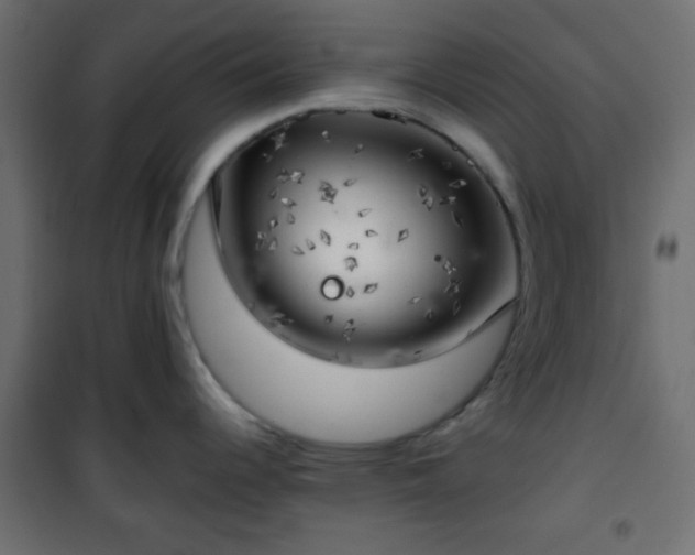 X0000101471344200807141342