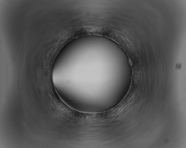 X0000101471345200807141341