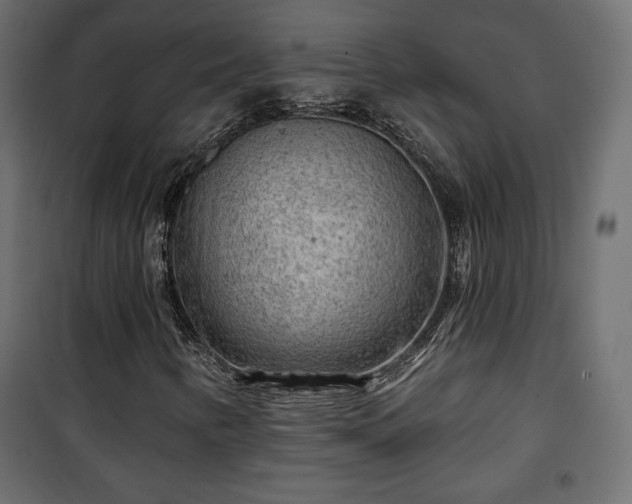X0000101471346200807141341