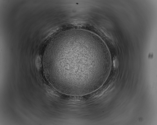 X0000101471347200807141341