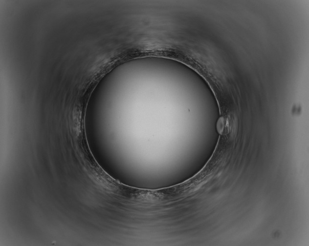 X0000101471348200807141341