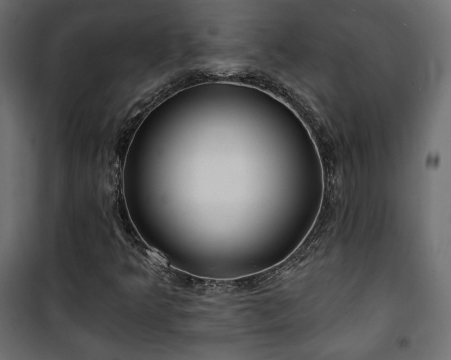 X0000101471349200807141341