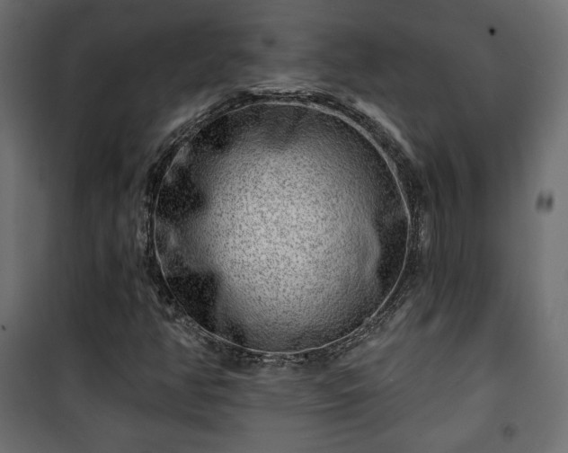 X0000101471350200807141341