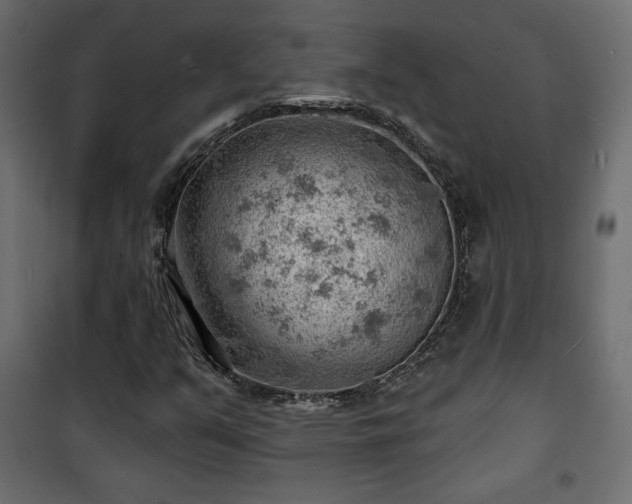 X0000101471351200807141341