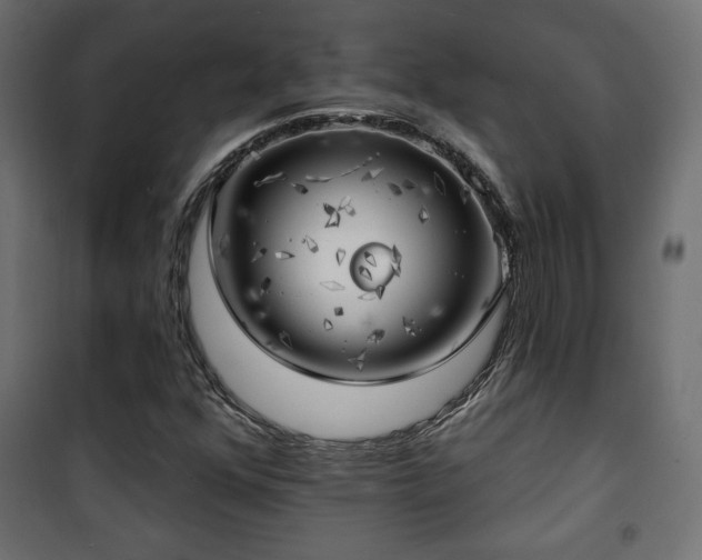 X0000101471352200807141341