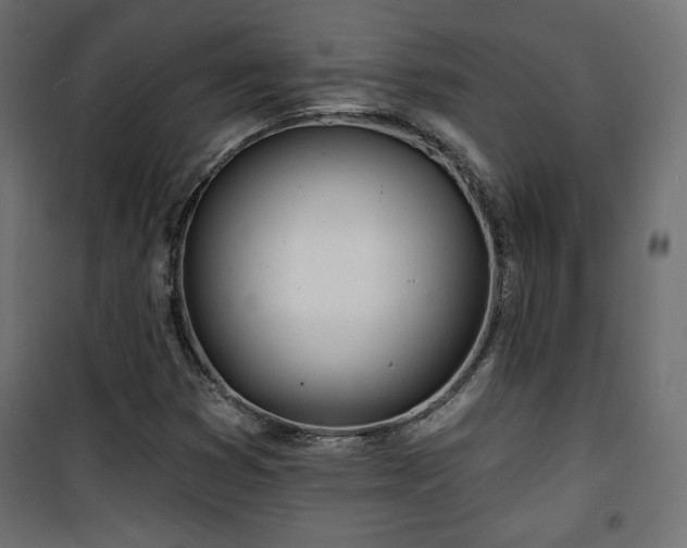 X0000101471353200807141341