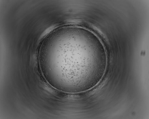 X0000101471354200807141341