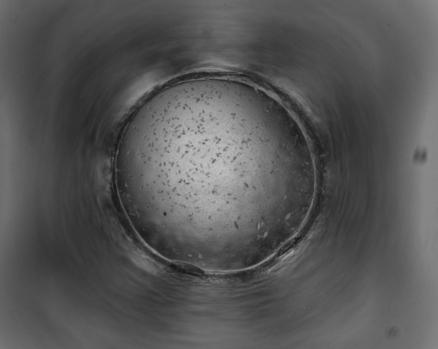 X0000101471355200807141341