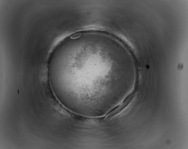X0000101471358200807141341