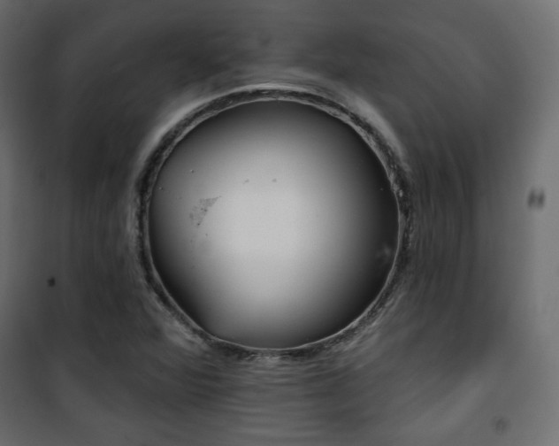X0000101471360200807141341