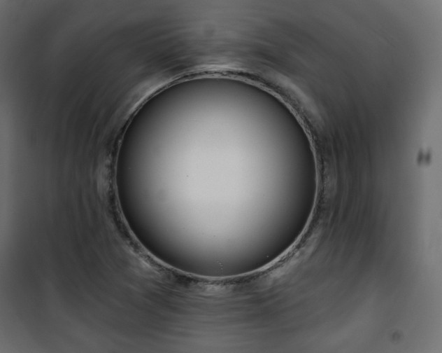 X0000101471361200807141341