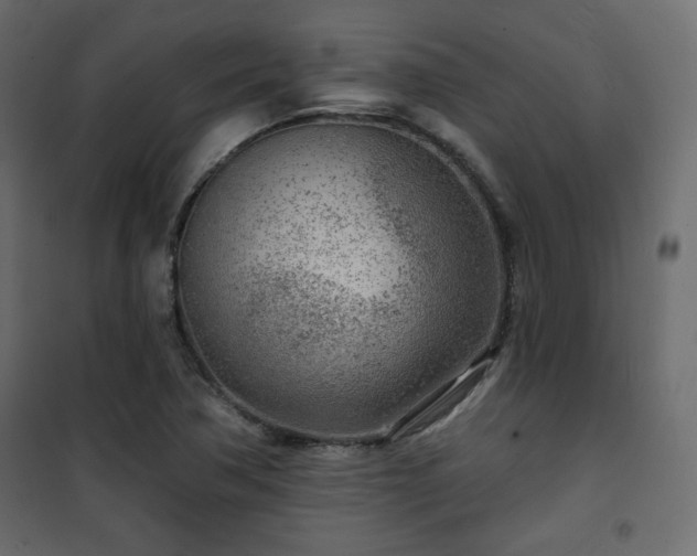 X0000101471362200807141341