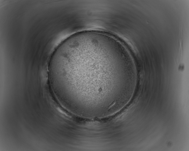 X0000101471363200807141341