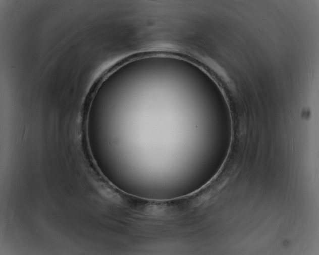 X0000101471364200807141341