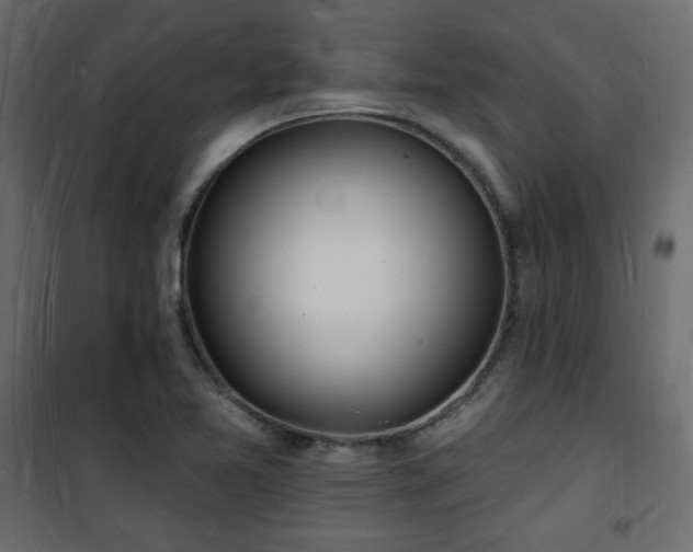 X0000101471365200807141341