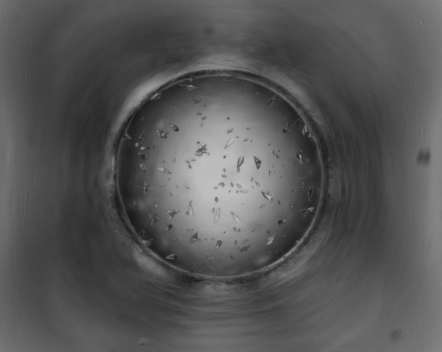 X0000101471366200807141341
