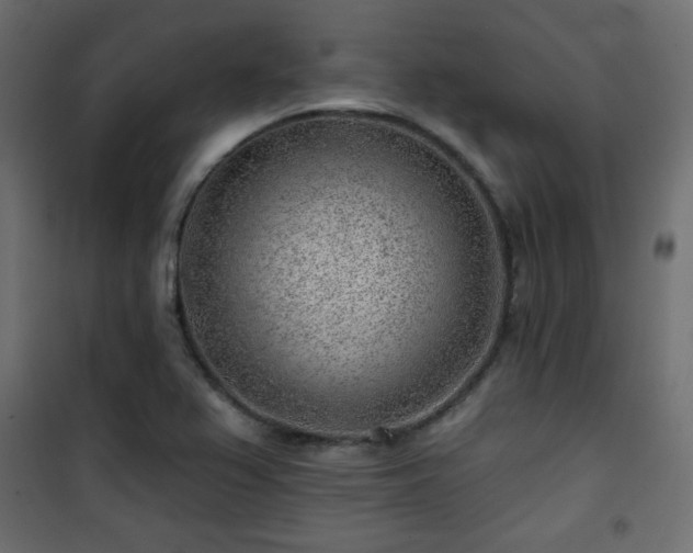 X0000101471367200807141341
