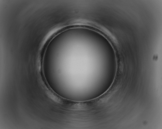 X0000101471368200807141341