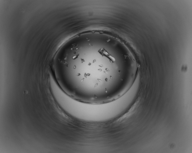 X0000101471369200807141341