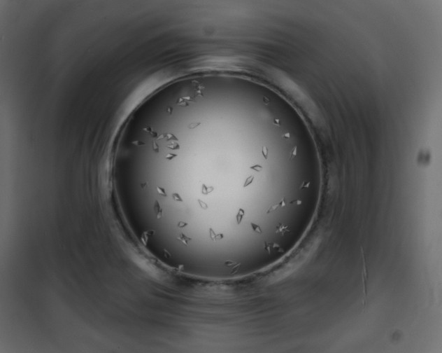 X0000101471370200807141341