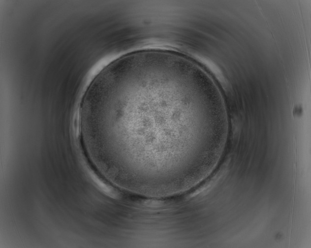 X0000101471371200807141341