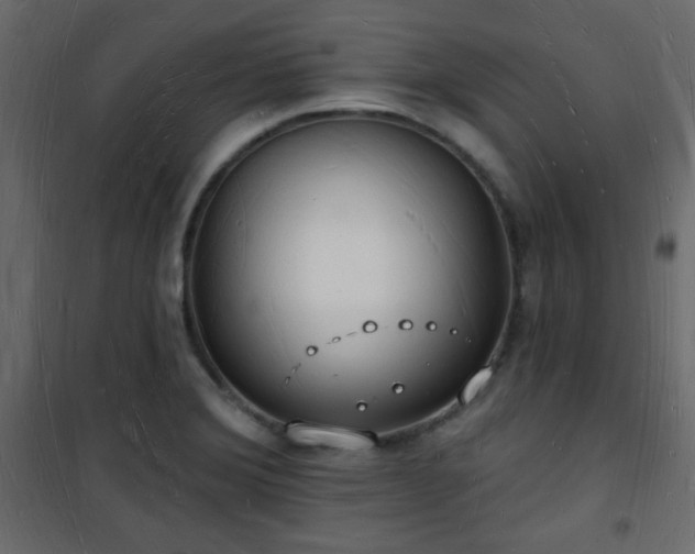 X0000101471372200807141341