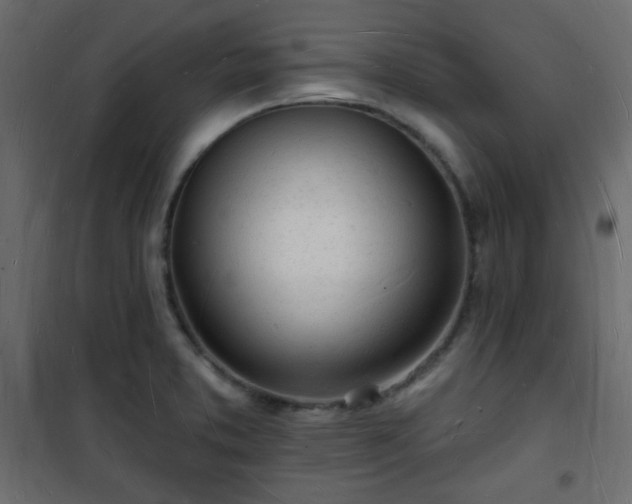 X0000101471373200807141341