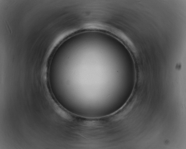 X0000101471376200807141341