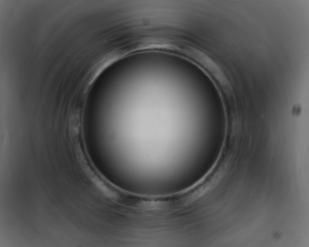 X0000101471377200807141341